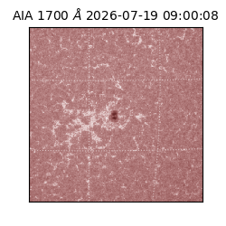 saia - 2026-07-19T09:00:08.348000