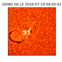 gong - 2026-07-19T04:00:42