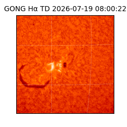 gong - 2026-07-19T08:00:22