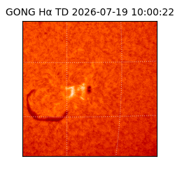 gong - 2026-07-19T10:00:22