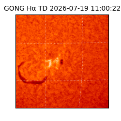 gong - 2026-07-19T11:00:22