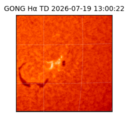 gong - 2026-07-19T13:00:22