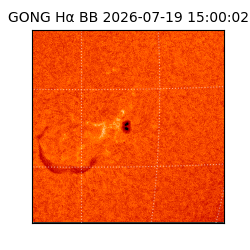 gong - 2026-07-19T15:00:02