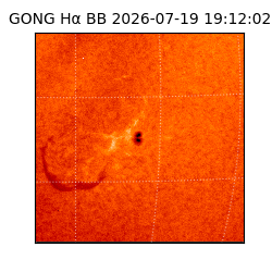 gong - 2026-07-19T19:12:02