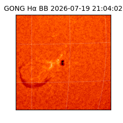 gong - 2026-07-19T21:04:02