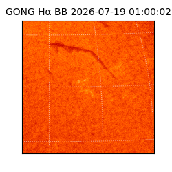 gong - 2026-07-19T01:00:02