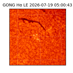 gong - 2026-07-19T05:00:43