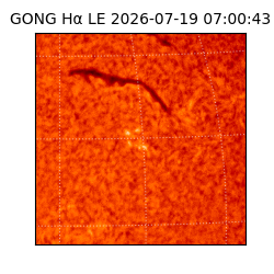 gong - 2026-07-19T07:00:43