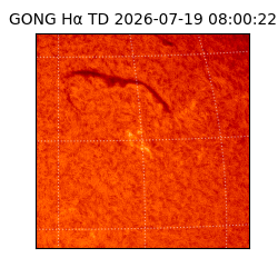 gong - 2026-07-19T08:00:22