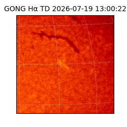 gong - 2026-07-19T13:00:22