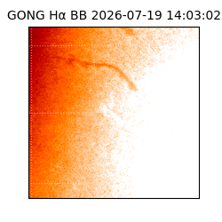 gong - 2026-07-19T14:03:02