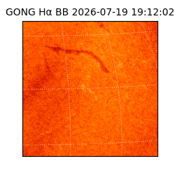 gong - 2026-07-19T19:12:02
