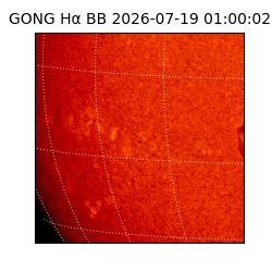 gong - 2026-07-19T01:00:02