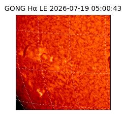 gong - 2026-07-19T05:00:43