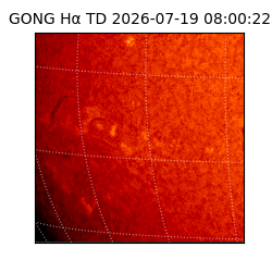 gong - 2026-07-19T08:00:22