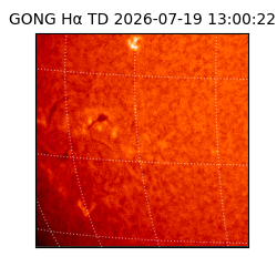 gong - 2026-07-19T13:00:22
