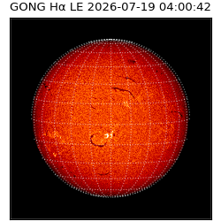 gong - 2026-07-19T04:00:42