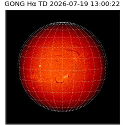 gong - 2026-07-19T13:00:22