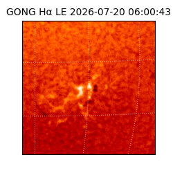 gong - 2026-07-20T06:00:43