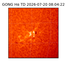 gong - 2026-07-20T08:04:22