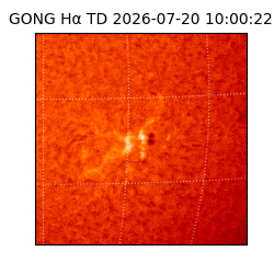 gong - 2026-07-20T10:00:22