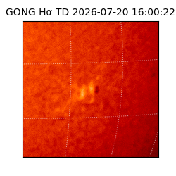 gong - 2026-07-20T16:00:22