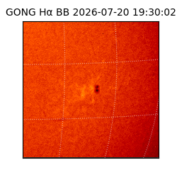 gong - 2026-07-20T19:30:02