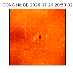 gong - 2026-07-20T20:59:02