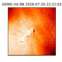 gong - 2026-07-20T22:21:02