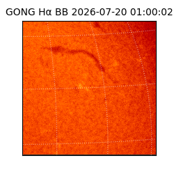gong - 2026-07-20T01:00:02