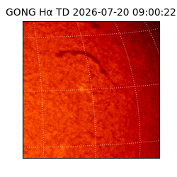 gong - 2026-07-20T09:00:22