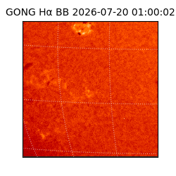 gong - 2026-07-20T01:00:02