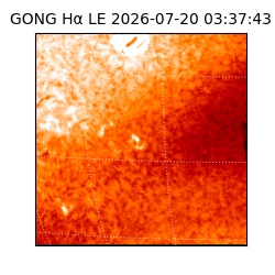 gong - 2026-07-20T03:37:43