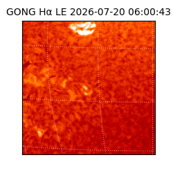 gong - 2026-07-20T06:00:43