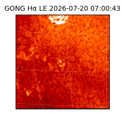 gong - 2026-07-20T07:00:43