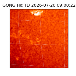 gong - 2026-07-20T09:00:22
