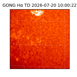 gong - 2026-07-20T10:00:22