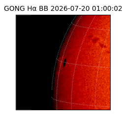gong - 2026-07-20T01:00:02