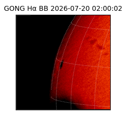 gong - 2026-07-20T02:00:02