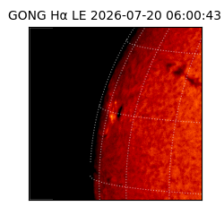 gong - 2026-07-20T06:00:43