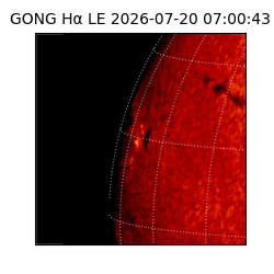 gong - 2026-07-20T07:00:43