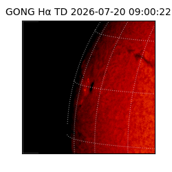 gong - 2026-07-20T09:00:22