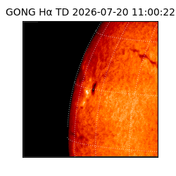 gong - 2026-07-20T11:00:22