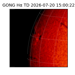 gong - 2026-07-20T15:00:22