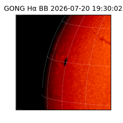 gong - 2026-07-20T19:30:02