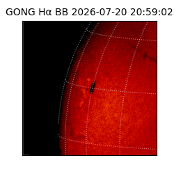 gong - 2026-07-20T20:59:02