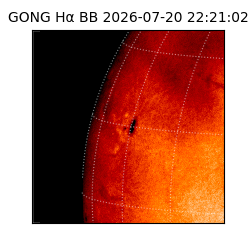 gong - 2026-07-20T22:21:02