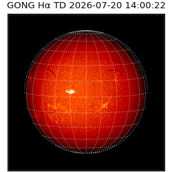 gong - 2026-07-20T14:00:22