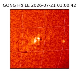 gong - 2026-07-21T01:00:42