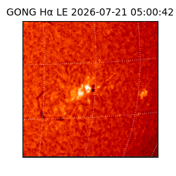 gong - 2026-07-21T05:00:42